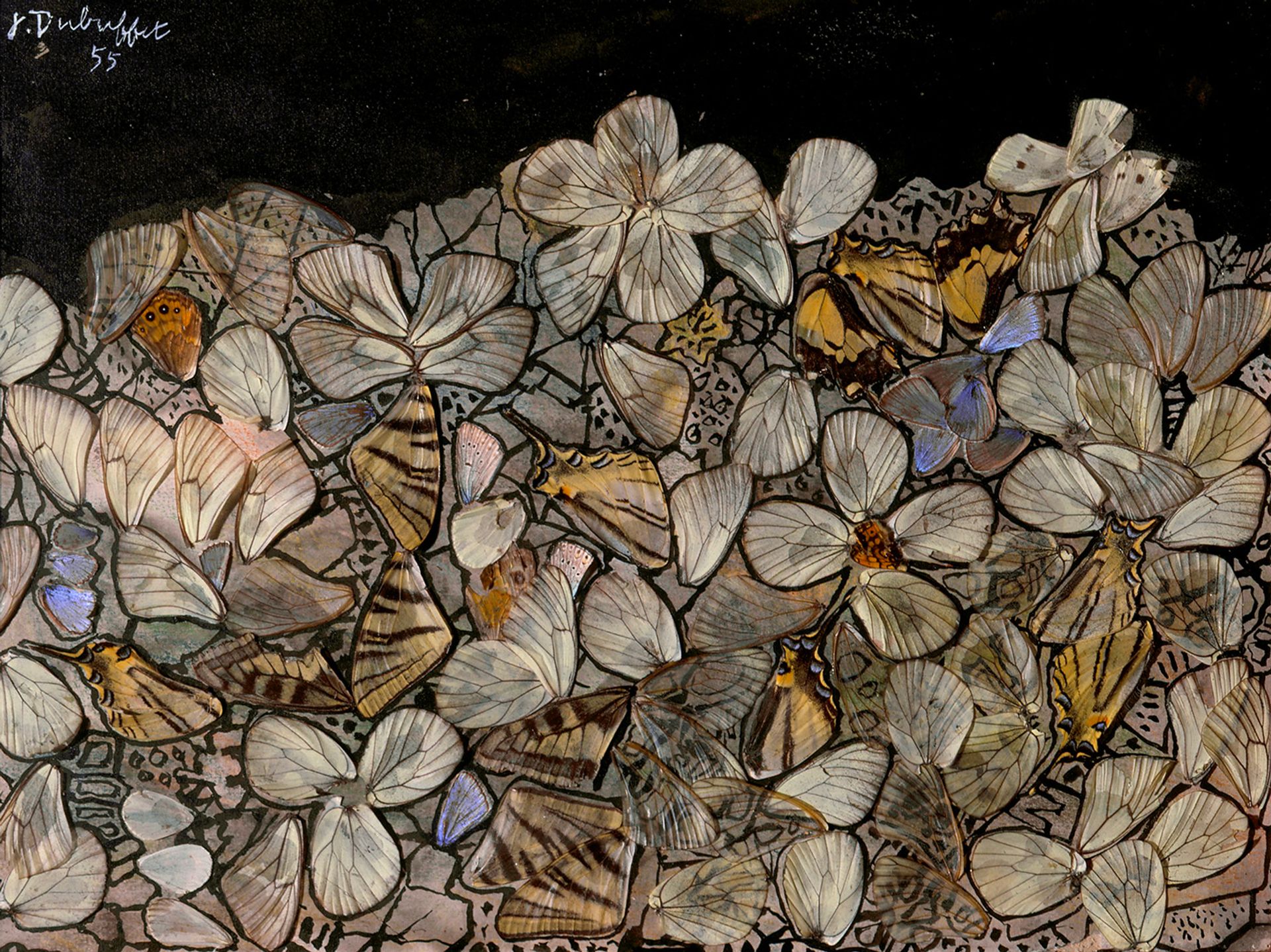 Jardin nacré