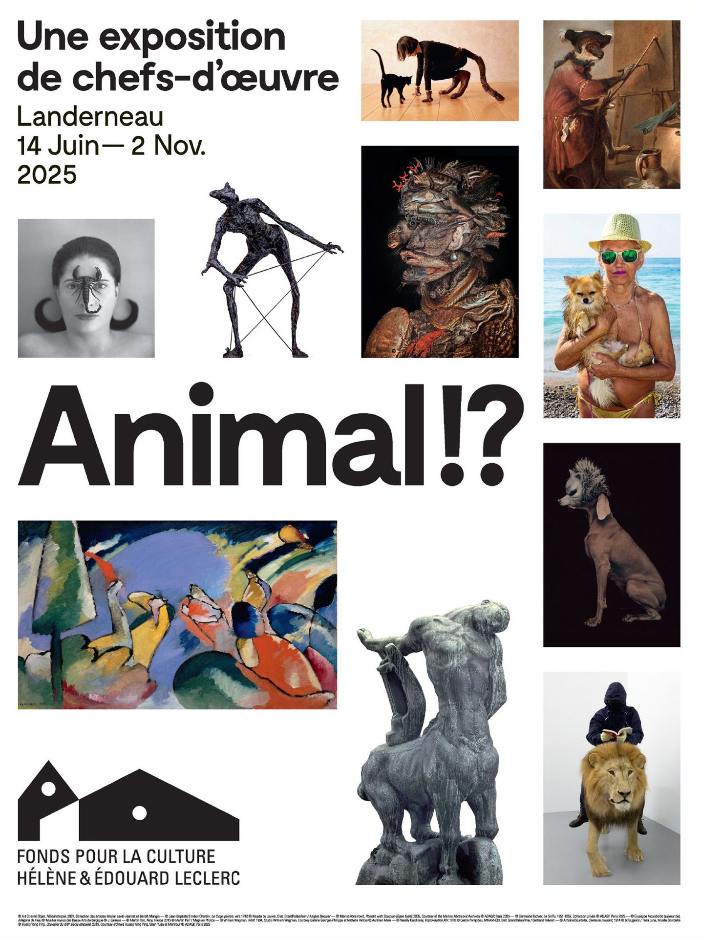 Animal?!
